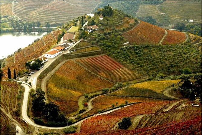 Douro Valley — Private UNESCO Wine & Cultural Experience - Private-guide energy: what makes this feel different from a group bus
