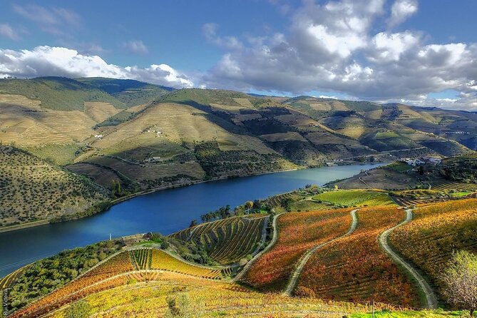 Douro Valley — Private UNESCO Wine & Cultural Experience - Comfort, tickets, and small details that save you headaches