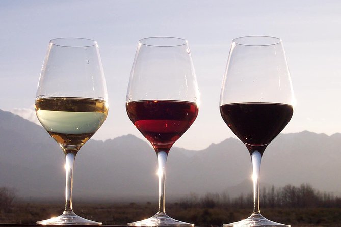 Douro Valley Private Wine and Food Tour From Porto - Picking Up From Porto and Staying Comfortable (6–9 Hours)