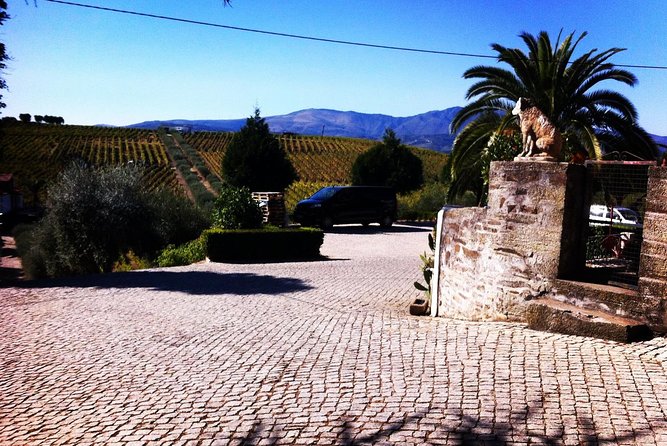 Douro Valley Private Wine and Food Tour From Porto - What’s Included vs. What You’ll Pay For