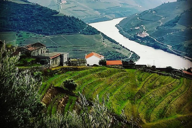 Douro Valley Private Wine and Food Tour From Porto - Stop 1: Quinta do Seixo (Sandeman) — Winery Time With Real Structure