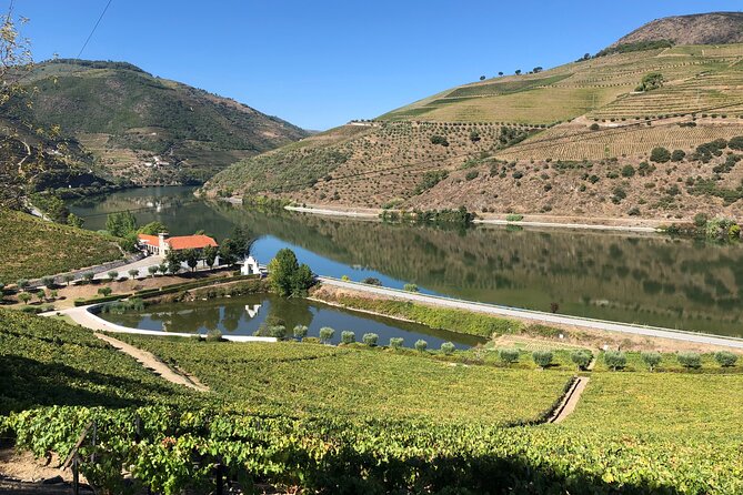 Douro Valley private wine tour | tastings and lunch included - Lunch at Quinta da Pacheca: When Food Becomes Part of the Wine Story