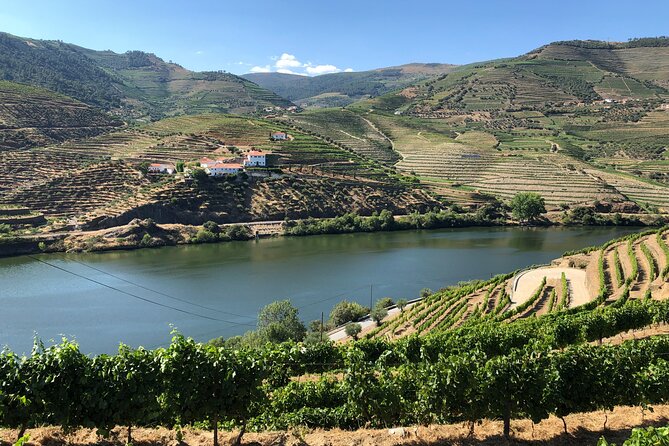 Douro Valley private wine tour | tastings and lunch included - From Porto Pickup to Duoro Valley: What the Morning Really Feels Like