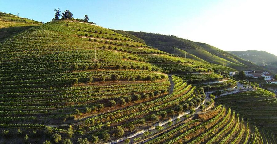 Douro Valley: Quinta de S. Luiz Winery Tour and Tasting - Quinta de S. Luiz and Kopke: what makes it feel historic