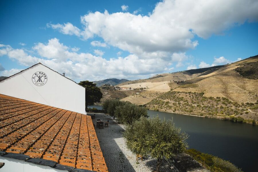 Douro Valley: Quinta de S. Luiz Winery Tour and Tasting - The boutique winery: where today meets the old Port tradition