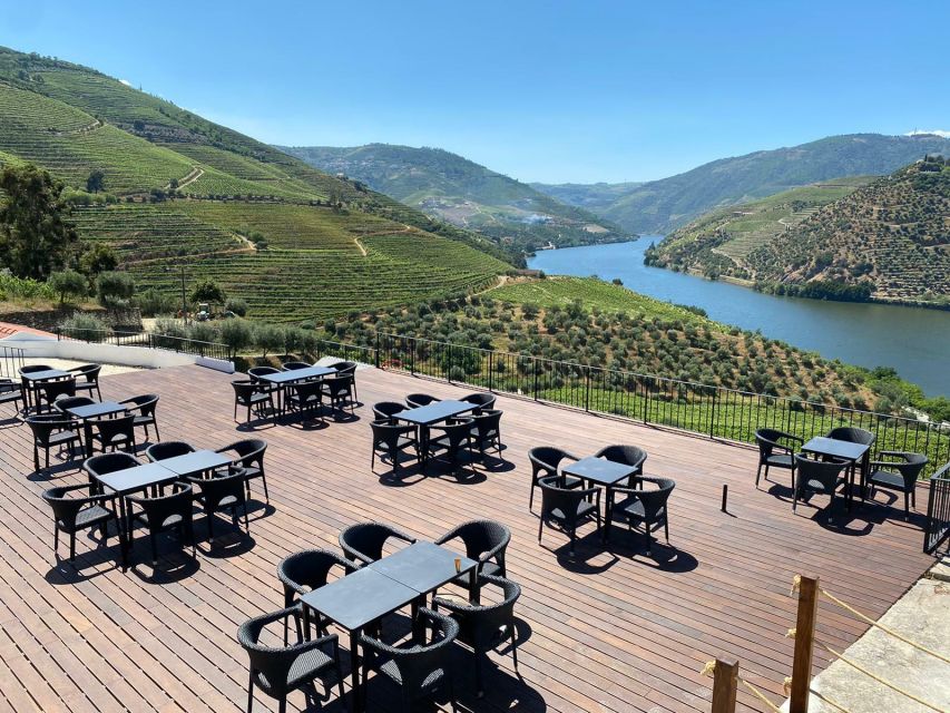 Douro Valley: Quinta de S. Luiz Winery Tour and Tasting - What you actually cover in 1 hour (and how to set expectations)