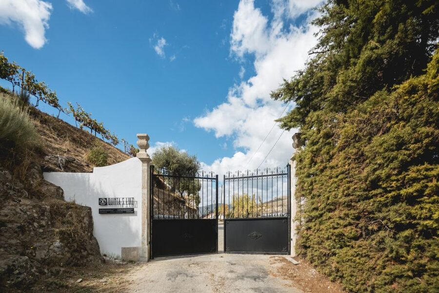 Douro Valley: Quinta de S. Luiz Winery Tour and Tasting - Practical tips: shoes, sun, and making the most of the terrace