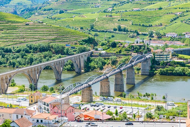 Douro Valley - Relaxed Departure from Porto - Quinta de São Luís: your second tasting stop in vineyard country