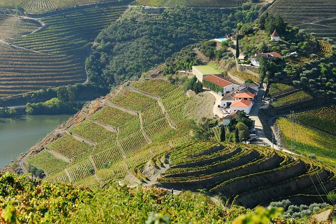 Douro Valley - Relaxed Departure from Porto - Pinhão boat tour: the scenic reset