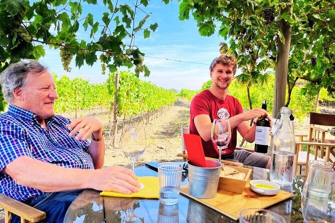 Douro Valley Small-Group Tour: 2 Wineries, Lunch, Optional Cruise - First Stop: The Douro Valley, Terroir, and a Winery That Starts Strong