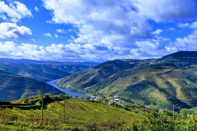 Douro Valley Small-Group Tour: 2 Wineries, Lunch, Optional Cruise - Optional 50-Minute Douro River Cruise From Pinhão