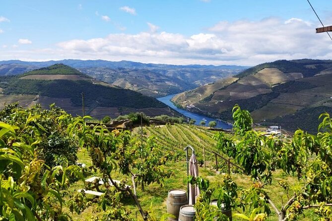 Douro Valley Small-Group Tour: 2 Wineries, Lunch, Optional Cruise - Second Winery: Port Tastings Plus the Stuff Many Tours Skip