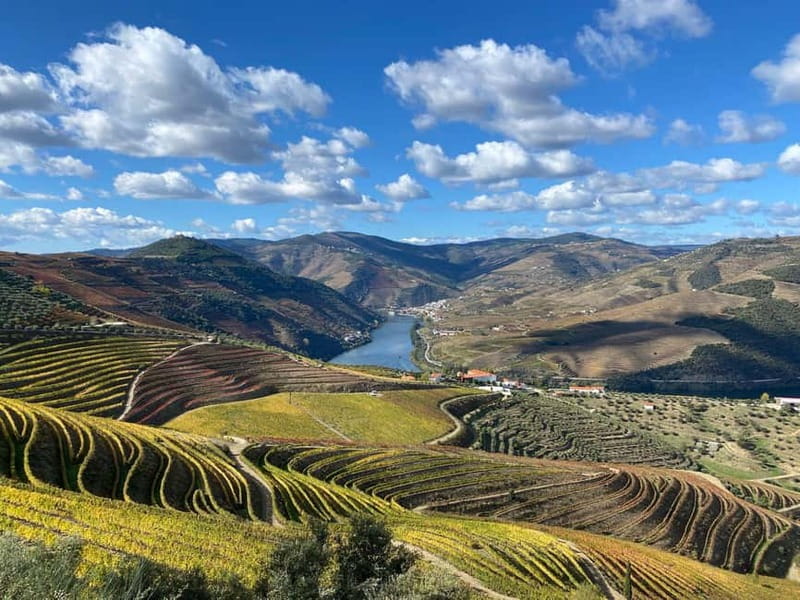 Douro Valley: Small-Group Tour, Winery's Lunch, Private Boat - Should you book this Douro Valley small-group day with Wonders Tours?