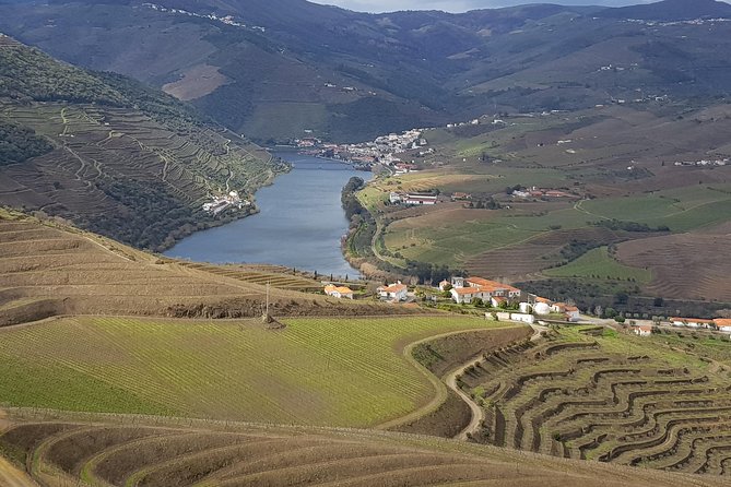 Douro Valley Tour: 2 Vineyard Visits, River Cruise, Winery Lunch - Key highlights I’d plan around