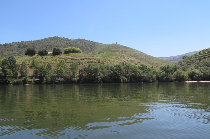 Douro Valley Tour: 2 Vineyard Visits, River Cruise, Winery Lunch - Meeting Point and the 8:30am Reality Check