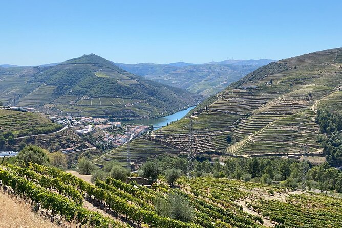 Douro Valley Tour - 3 Wine tastings, Lunch & river Cruise - Sabrosa lunch at a family vintage house, with cellar time