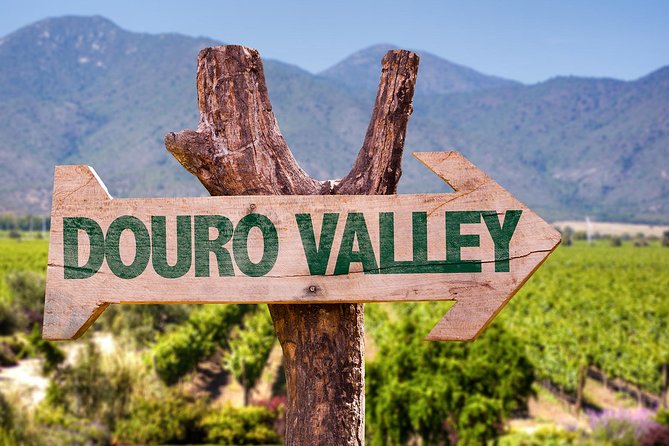 Douro Valley Tour from Peso da Regua - A Practical Douro Day Trip From Peso da Régua