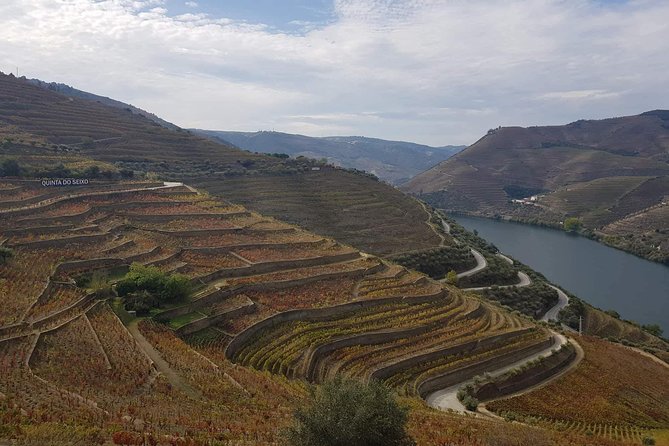 Douro Valley Tour from Peso da Regua - Pinhao Boat Tour: Why This Hour Is the Best Reset