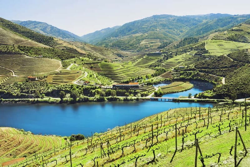 Douro Valley Tour: Visit 2 Wineries, Lunch & River Cruise - Key Things to Know Before You Go