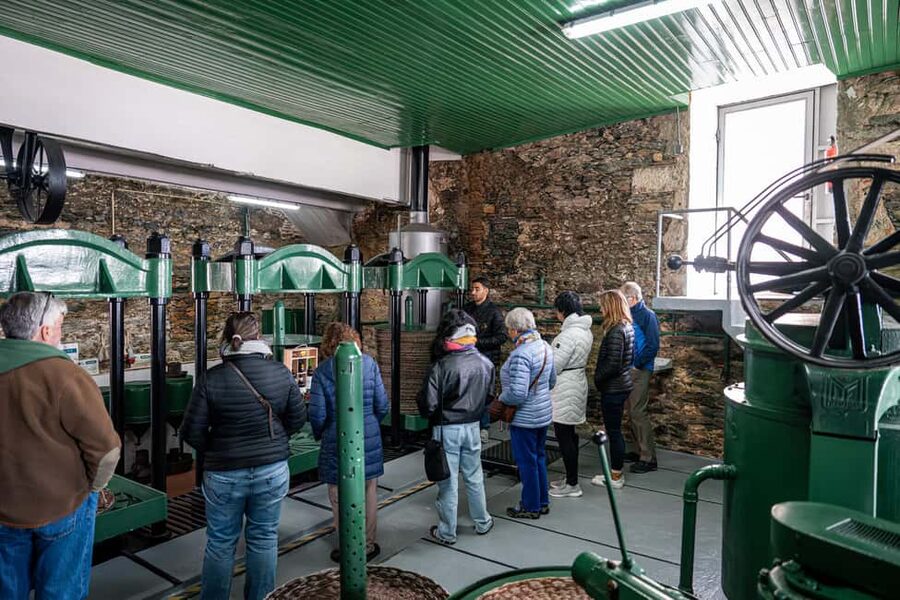 Douro Valley Tour: Visit 2 Wineries, Lunch & River Cruise - Two Wine Estates in One Day: How DOC Douro and Port Tastings Work