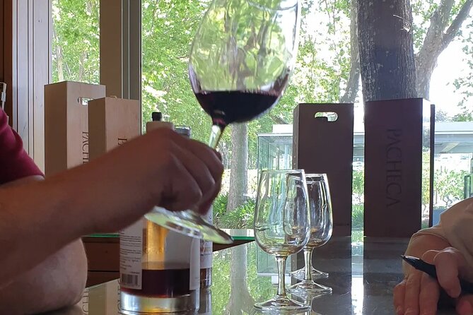 Douro Valley Tour Wine and breathtaking views - Key highlights worth planning for