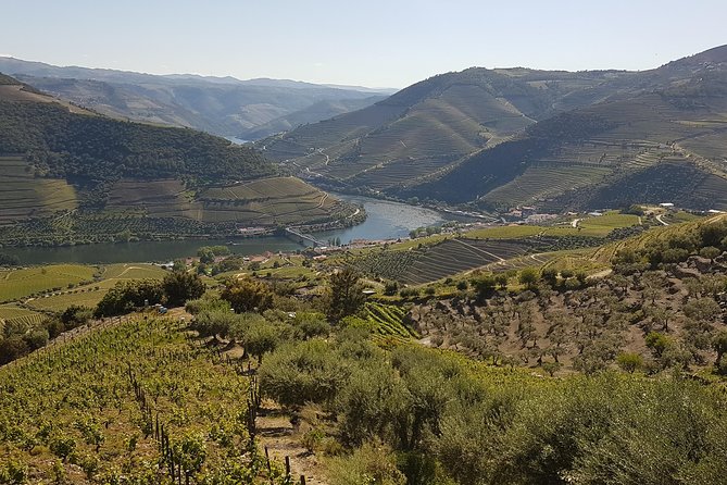 Douro Valley Tour Wine and breathtaking views - Miradouro de Sao Leonardo de Galafura: the 10-minute view break