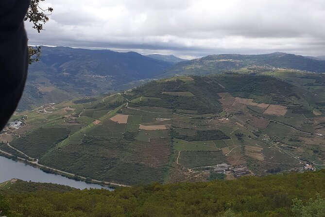 Douro Valley Tour Wine and breathtaking views - Pinhão: a quick town stop with time to reset your eyes