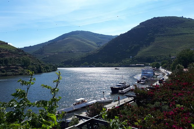 Douro Valley Tour (wine & Food) - Lunch timing: what to plan for so midday doesn’t throw you