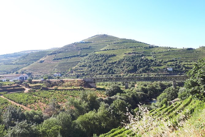 Douro Valley Tour (wine & Food) - How to get the best photos without ruining your schedule