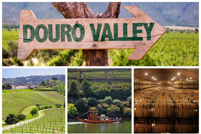 Douro Valley Tour: Wine Tasting, Cruise and Lunch from Porto - Key Things I’d Plan Around