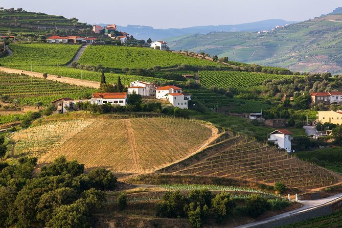 Douro Valley Tour: Wine Tasting, Cruise and Lunch from Porto - Lunch by The River: Real Choice, Real Schedule