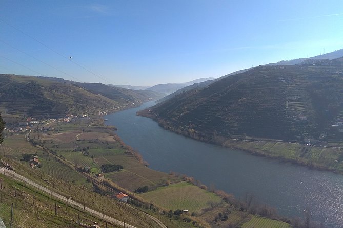 Douro Valley Tour: Wine Tasting River Cruise and Lunch from Porto - On the Douro River: a 55-minute Barco Rebelo cruise that changes your perspective