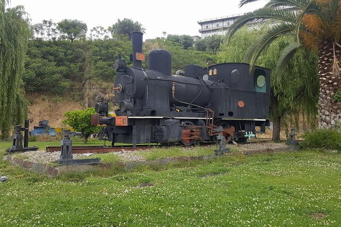 Douro Valley Tour: Wine Tasting River Cruise and Lunch from Porto - Guide quality, group size, and the kind of day you’re signing up for