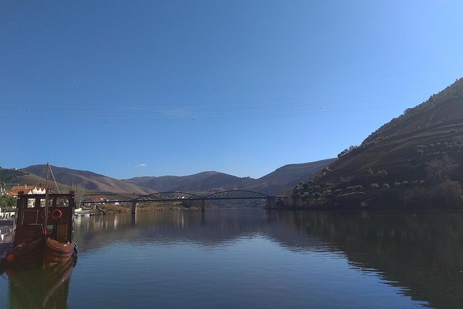 Douro Valley Tour: Wine Tasting River Cruise and Lunch from Porto - Who should book this Douro day trip from Porto