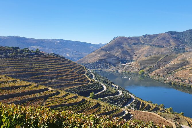 Douro Valley Tour: Wine Tasting River Cruise and Lunch from Porto - Should you book it?