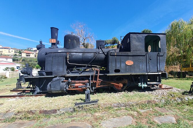 Douro Valley Tour with Train and Vinho Verde - Key things I’d bank on