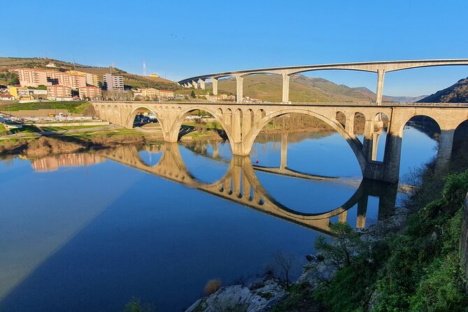 Douro Valley Tour with Train and Vinho Verde - A full Douro day from Porto: timing, group size, and where you meet