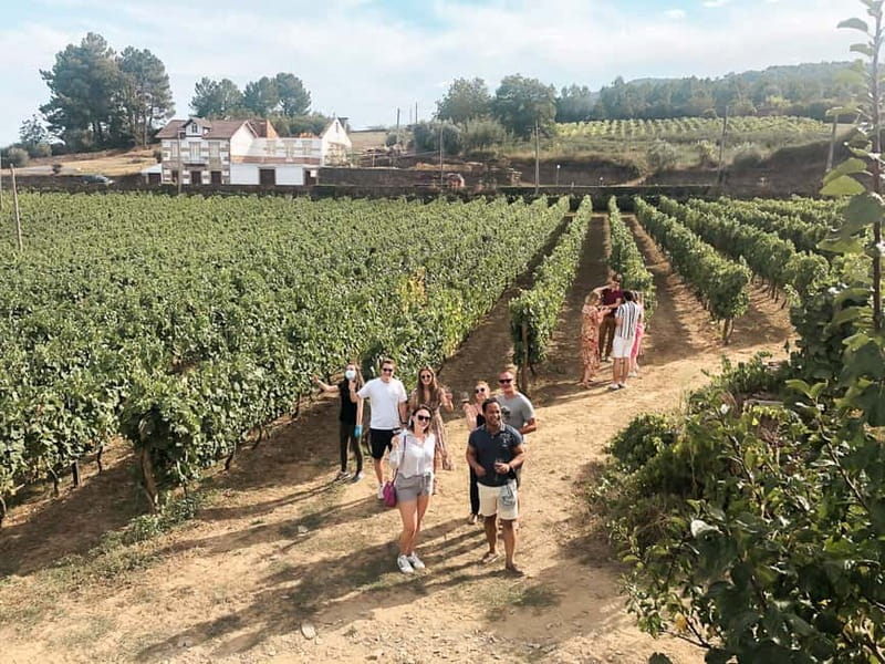 Douro Valley: Tour with Wine Tastings, Lunch, and Boat Ride - Douro Valley: What makes this day feel worth it