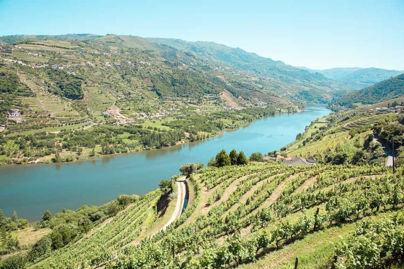 Douro Valley: Tour with Wine Tastings, Lunch, and Boat Ride - From Porto to the Douro in one full, well-paced day