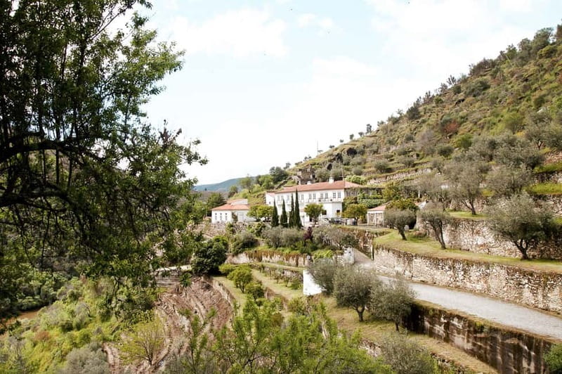 Douro Valley: Tour with Wine Tastings, Lunch, and Boat Ride - Pinhão river cruise: where the Douro slows down