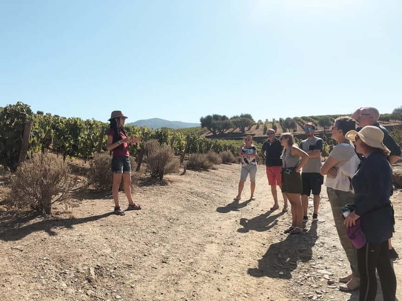 Douro Valley: Tour with Wine Tastings, Lunch, and Boat Ride - Second winery: table wine tasting plus a private guided tour