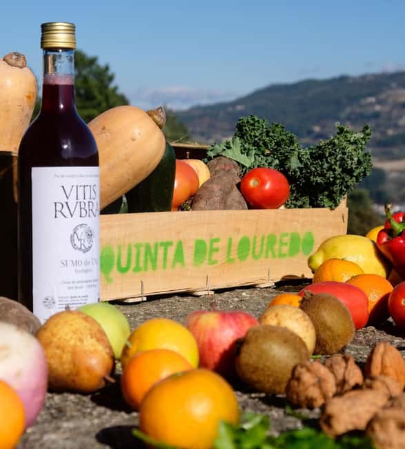 Douro Valley: Traditional Cooking Class, Farm Tour and Lunch - What makes this day different