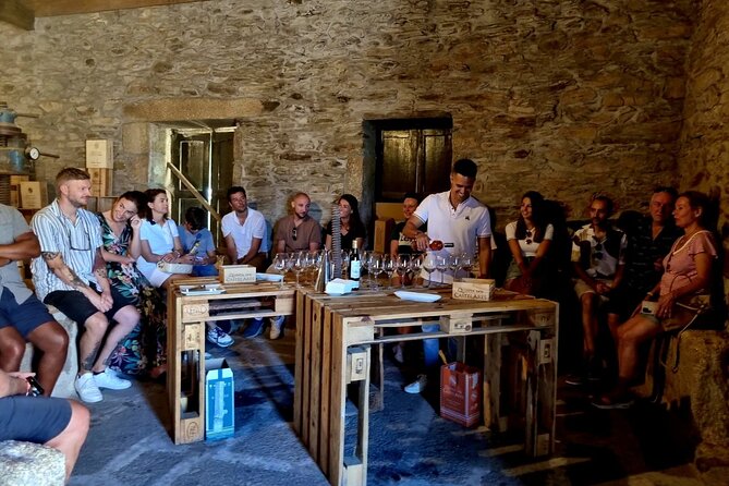 Douro Valley Vineyard Visits Wine Tasting Boat Ride and Lunch - From Trindade to the Douro: How the Day Flows