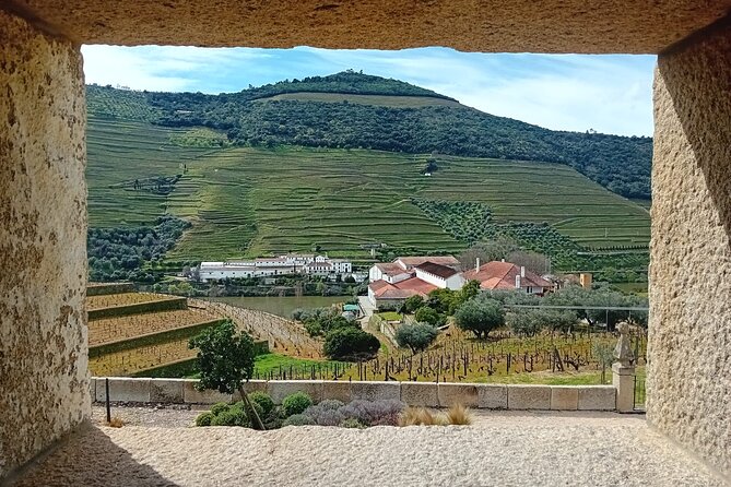 Douro Valley Vineyard Visits Wine Tasting Boat Ride and Lunch - Price and Value: Is $150.51 Worth Your One Day?