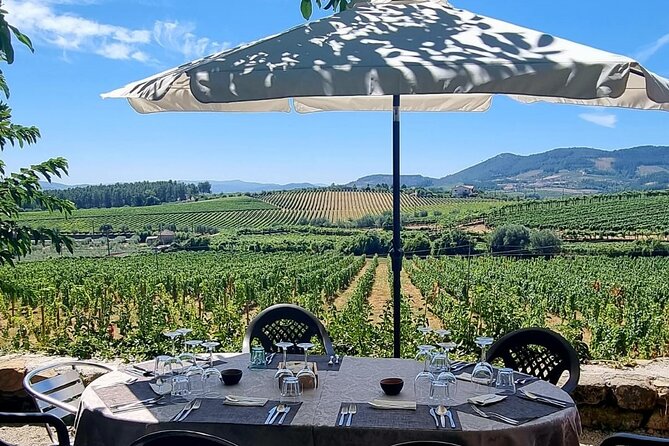Douro Valley Vineyard Visits Wine Tasting Boat Ride and Lunch - Tips to Enjoy It Without Feeling Rushed