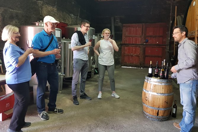 Douro Valley Wine Tour: 3 Vineyard Visits, Wine Tastings, Lunch - Pinhão views and timing: expect big scenery and a long sit