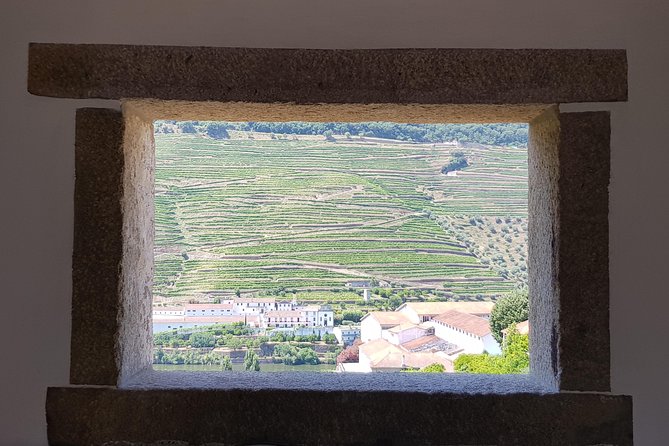 Douro Valley Wine Tour: 3 Vineyard Visits, Wine Tastings, Lunch - Getting there from Porto: the 8:30am start matters