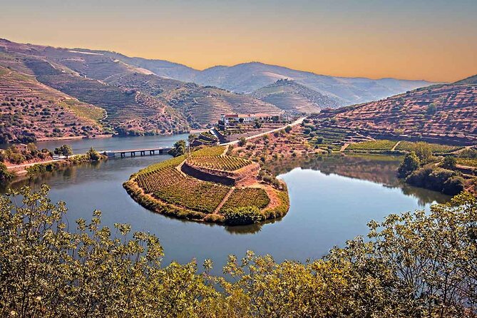 Douro Valley Wine Tour Private Group, 1h Cruise, Lunch from Porto - The 50-Minute Douro Cruise: The Easiest Big-View Moment