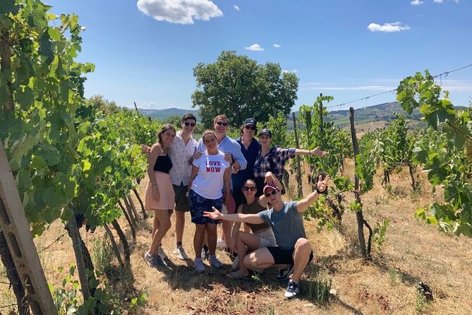 Douro Valley Wine Tour Private Group, 1h Cruise, Lunch from Porto - Miradouro Torguiano: 15 Minutes of Big Views