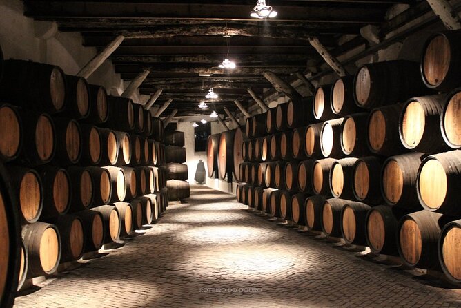 Douro Valley Wine Tour Private Group, 1h Cruise, Lunch from Porto - Returning to Porto: Drop-Off and a Normal Evening